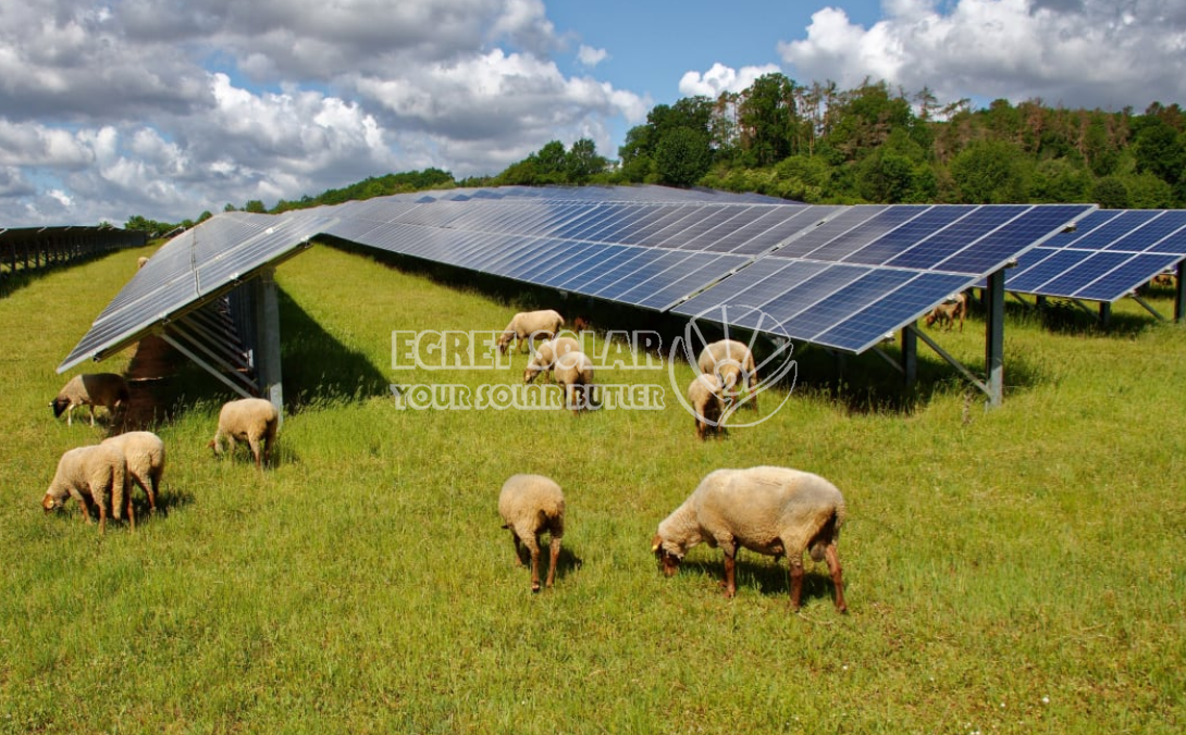 Hợp tác chiến lược giữa Công nghệ năng lượng mới Egret Solar và Năng lượng khái niệm thông minh