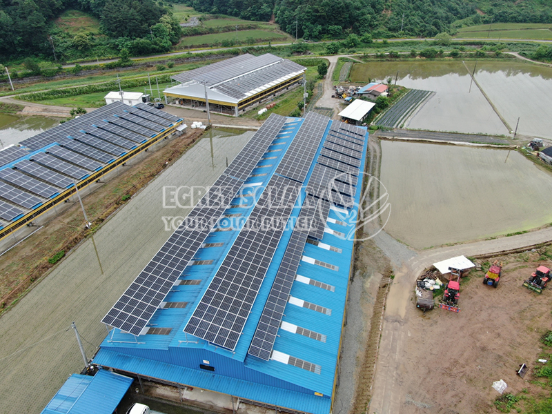 Phân tích thị trường năng lượng mặt trời ở Hàn Quốc