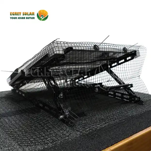 Tại sao lưới chim năng lượng mặt trời là tuyến phòng thủ quan trọng?